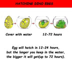 Valentines Day Gifts for Kids, Valentines Day Cards for Kids, Set of 30 Dinosaur Eggs Hatching Dino Egg Grow in Water, Valentine Exchange for Toddlers Girls Boys School Class Classroom Party Favors