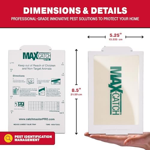 Catchmaster Max-Catch Mouse & Insect Glue Trap 72pk, Mouse Traps Indoor for Home, Sticky Pest Control Adhesive Tray for Catching Bugs, Rats & Rodents, Non Toxic Bulk Pre-Baited Glue Boards