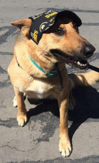 Dog Hat - Eagles Sports Fabric