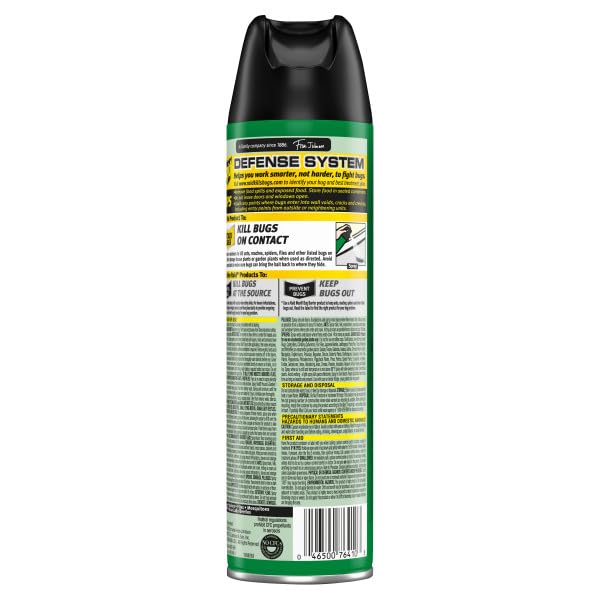 Raid House and Garden Insect Killer Insecticide Aerosol Spray - 11 Oz. (Pack of 3)