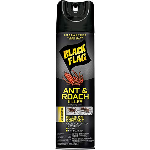 Black Flag Ant & Roach Killer Aerosol, Unscented, 17.5-Ounce, 12-Pack