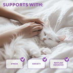 Calming Pheromone Spray & Scratch Repellent for Cats - Reduces Scratching Furniture, Pee - During Travel, Fireworks, Thunder, Vet Zone - Helps to Relief Stress, Fighting, Hiding