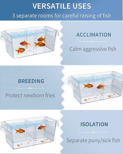 Pawfly Aquarium Fish Breeding Box Acrylic Hatchery Incubator Tank with Suction Cups Large Isolation Box for Baby Fish Shrimp Betta Guppy and Platy