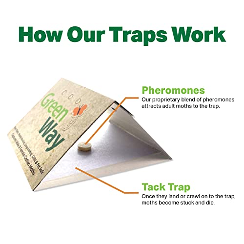 GreenWay Clothing Moth Traps (2 Traps) - Moth Traps for Clothes Closets - Alternative to Cedar Balls and Moth Balls for Closet - Pheromone Attractant & Eco