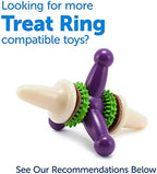 PetSafe® Rawhide Treat Ring Refills, Variety Pack, Size C, Original Rawhide and Peanut Butter Flavor, Replacement Treats Busy Buddy Treat Ring Holding Toys