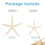 QEQEKAKA® 20 PCS Starfish for Crafts 2" to 4" Natural Starfish Decor Bulk, for Wedding Beach Theme Decor Home DIY Crafts Decor Christmas Tree Starfish Ornaments