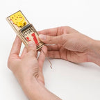 Victor M035-12 Plastic Pedal Easy Set Sustainably Sourced FSC Wood Snap Mouse Trap - 12 Traps