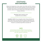 Desert Essence Soothing Skin Ointment, 1 fl oz (2 Pack) Gluten Free - Topical Balm with Cleansing Australian Tea Tree Oil - Relief of Dry, Chapped Skin, Minor Rashes, Insect Bites & Skin Irritations