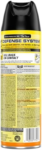 Raid Multi Insect Killer, Orange Breeze 15 Ounce (Pack of 1)