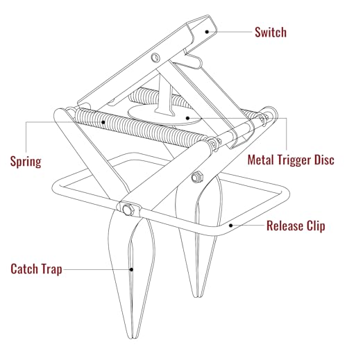 AMVOG Mole Scissor Traps, Easy Setup Mole Traps That Kill, Reusable Gopher Traps for Lawns & Garden,2 Traps