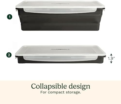 Cuisinart XL Collapsible Marinating Container, Large Capacity Grill Accessories Perfect for BBQs and Tailgates, Marinade and Brining Prep, Collapsible Silicone for Easy Storage