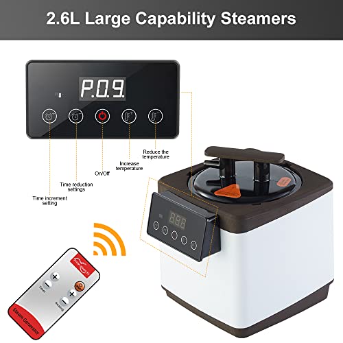 Smartmak Sauna Steamer Pot 2.6 L, Portable Steam Generator Set with Smart Touch Time & Tempreture Remote Control, 1000W Spa Machine with Herbal Box for Body Detox 110V US Plug- Wood Pattern