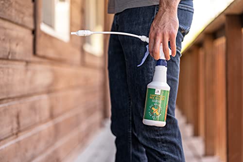 Donaldson Farms Carpenter Bee Killer Spray for Insects All Natural Foaming Spray, 16 oz