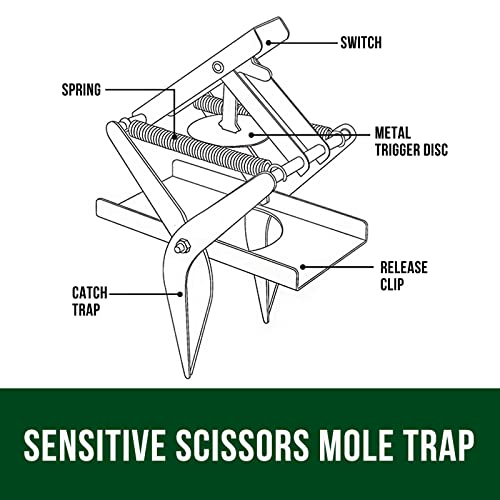 Garsum Mole Trap,EasySet Eliminator Black Scissor Traps, Mole Traps That Kill Instantly for Lawns,Reusable Quick and Clean Kill Vole Trap,1 Set