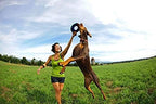 ChuckIt! Zipflight Flyer Dog Frisbee & Dog Toy that Floats; Gentle On Dog's Teeth and Gums; Medium