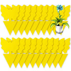 80 Pack Yellow Sticky Traps, Fruit Fly Fungus Gnat Trap for Indoor/Outdoor Use, Houseplant Sticky Bug Insect Catcher Glue Trappers