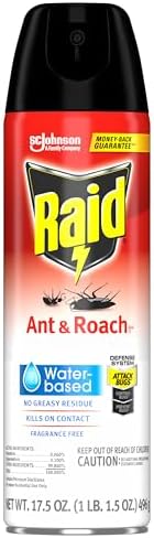 Raid Ant & Roach Aerosol Bug Spray, Water-Based Formula Insecticide With No Greasy Residue, Kills On Contact, 17.5 oz