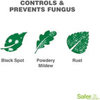 Safer Brand Garden SG5180 Insect Killing Fungicide, Miticide, and Insecticide Neem Oil Spray – Kills Insects & Mites – Controls & Prevents Fungal Disease – OMRI Listed for Organic Use – 24 oz