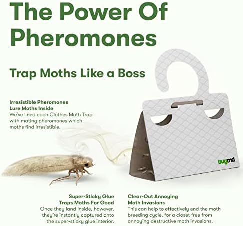 BugMD Clothes Moth Boss Traps (6 Count, White) - Sticky Glue Bug Repellent Pheromone Attractor for Closets Wardrobes Cabinet Drawers, Moth Balls for Closet, Moth Traps with No Harsh Chemicals