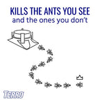 TERRO T1804-3SR Outdoor Ready-to-Use Liquid Ant Bait Killer and Trap - Kills Common Household Ants - 12 Bait Stations