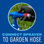 BioAdvanced Lawn Weed & Insect Killer, Ready-to-Spray, 32 oz