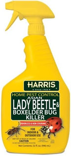 Harris Asian Lady Beetle and Box Elder Killer, Liquid Spray with Odorless and Non-Staining Extended Residual Kill Formula (32oz)