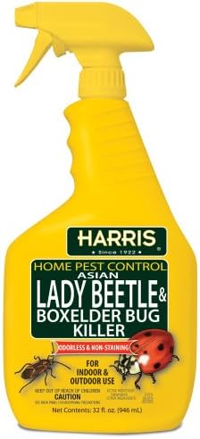 Harris Asian Lady Beetle and Box Elder Killer, Liquid Spray with Odorless and Non-Staining Extended Residual Kill Formula (32oz)