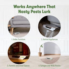 BugMD Indoor Cockroach Killer & Roach Trap - Sticky Insect, Spider, Cricket Control for Home - Glue Traps Pest Defense, 12 Pack Sticky Bug Solution
