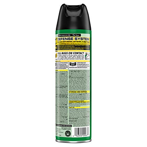 Raid House & Garden I, Indoor & Outdoor Insecticide Spray, 11 oz. (Pack of 1)
