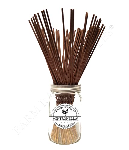 Natural Mosquito Repellent - 100 USA-Made Yard Sticks - Gnats Repellent - Fly Sticks - Farm Raised Candles - Outdoor Mosquito Control/Mosquito Repellent Outdoor Patio Mintronella Incense