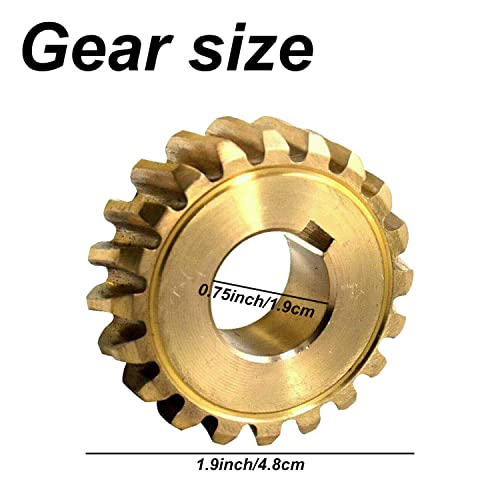 Haiouus 917-04861 Worm Gear 20T Compatible with MTD CUB Cadet Craftsman 40" - 42" Snowblowers, 917-04861 Worm Gear Replaces Snowblower 717-04449, 717-0528, 618-0528, 917-0528 Worm Gear - 20 Tooth
