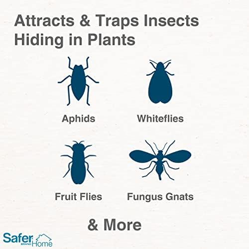 Safer Brand Home SH5026-3SR Houseplant Sticky Stake Insect Traps for Indoor Plants - 48 Traps Included - Controls Aphids, Whiteflies, Fruit Flies, Fungus Gnats, and Other Insects