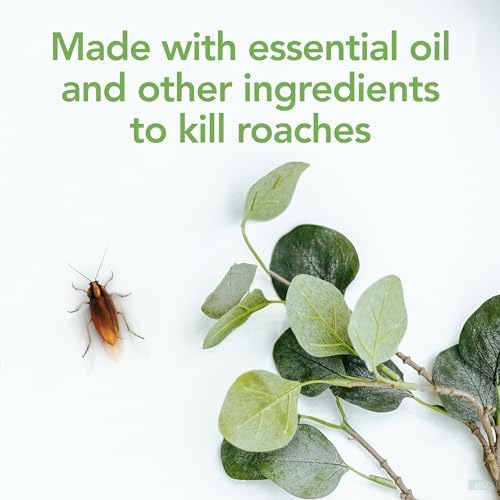 Raid Essentials Ant, Spider & Roach Killer Aerosol Spray, Child & Pet Safe, Kills Insects Quickly, for Indoor Use, Rosemary Mint Scent, 10 fl oz