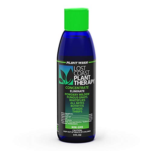 Lost Coast Plant Therapy- Plant wash 9OZ