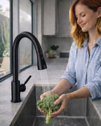 WEWE Kitchen Faucets with Pull Down Sprayer, Stainless Steel Single Handle 1 Hole for Family Kitchen Commercial Camper Laundry Rv Bar, Matte Black