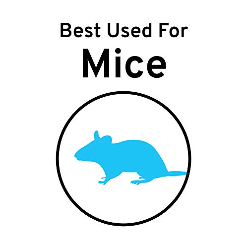 Victor M122 Quick-Kill Easy Set Mouse Trap - 12 Reusable Mouse Traps
