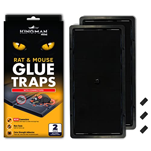 Kingman Prime Rat Mouse Rodent Pest Glue Trap (Large Size) Tray Heavy Duty (24 Traps) with Connectors