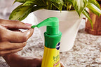 Miracle-Gro 100055 Indoor Plant Food, (3)
