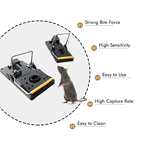 Grandpa Gus's Pest Control Large Snap Traps for Mice/Rats (6 Pack) Bundle with 1 Pack Rodent Lure, Food-Grade Bait, 0.5 oz