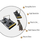 Grandpa Gus's Pest Control Large Snap Traps for Mice/Rats (6 Pack) Bundle with 1 Pack Rodent Lure, Food-Grade Bait, 0.5 oz