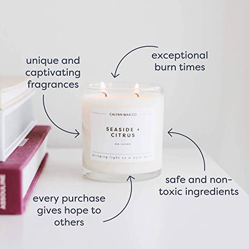 Calyan Wax Scented Candle, Lavender & Bergamot Candle for The Home Scented with Cedar & Citrus, Soy Wax Aromatherapy Candle in Glass Jar with 37 Hour Burn Time, Non Toxic Scented Candles Gifts