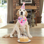 ADOGGYGO Dog Birthday Party Supplies, Boy Girl Dog Birthday Hat with Numbers Dog Pet Birthday Bandana Hat Bow Set for Large and Extra Large Dogs (X-Large, Pink)