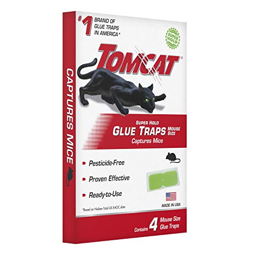Tomcat Super Hold Glue Traps Mouse Size, 8-Pack (32 Glue Traps)