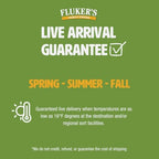 Fluker's Live Crickets, 100 Count Feeder Insects for Reptiles, Chickens, and Birds, Large (Approx. 3/4")