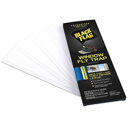 BLACK FLAG WINDOW FLY TRAP 16 PACK (4 PACKAGES WITH 4 TRAPS EA)