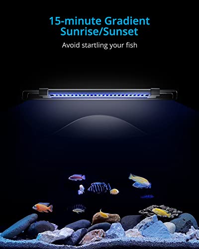 NICREW ClassicLED Gen 2 Aquarium Light, 15 Watts, Dimmable LED Fish Tank Light with 2-Channel Control, White and Blue LEDs, Size 18 to 24 Inch