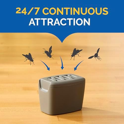 Hot Shot Flying Insect Trap, Discreet, Trap Attracts, Captures and Kills House Flies and Fruit Flies, 24/7 Continuous Attraction, No Plug-in Or Electricity Needed, 6 Count
