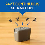 Hot Shot Flying Insect Trap, Discreet, Trap Attracts, Captures and Kills House Flies and Fruit Flies, 24/7 Continuous Attraction, No Plug-in Or Electricity Needed, 6 Count