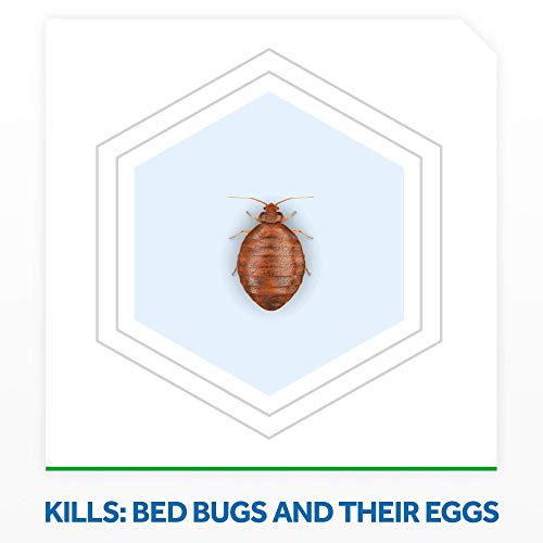 Raid Max Bed Bug Extended Protection, Kills Bed Bugs for 8 weeks on Laminated Woods and Surfaces for Insects 22 Oz
