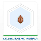Raid Max Bed Bug Extended Protection, Kills Bed Bugs for 8 weeks on Laminated Woods and Surfaces for Insects 22 Oz